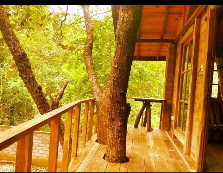 Luxury Tree House Villa Kibissa Exterior photo