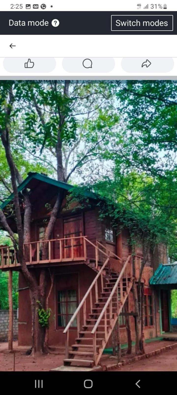 Luxury Tree House Villa Kibissa Exterior photo